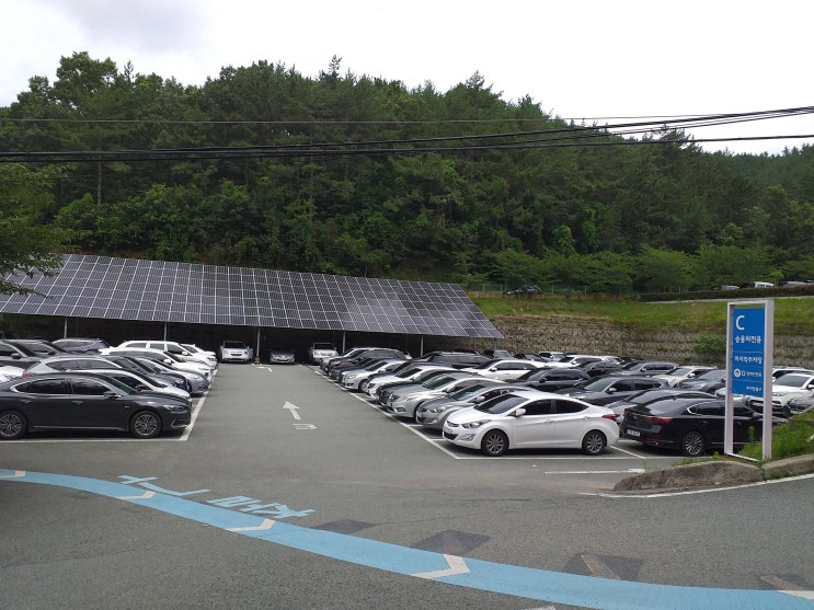  고성 가볼만 한곳 2탄(고성 공룡박물관 다녀왔어요~)