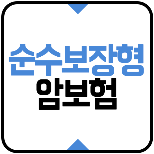 순수보장형 암보험 추천