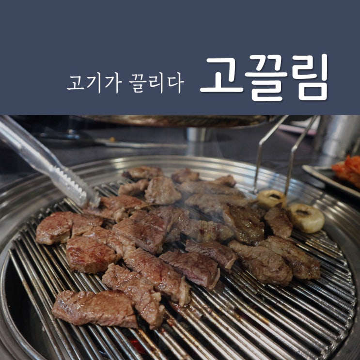 [신사역 맛집] 고품격 고기의 맛 '고끌림'