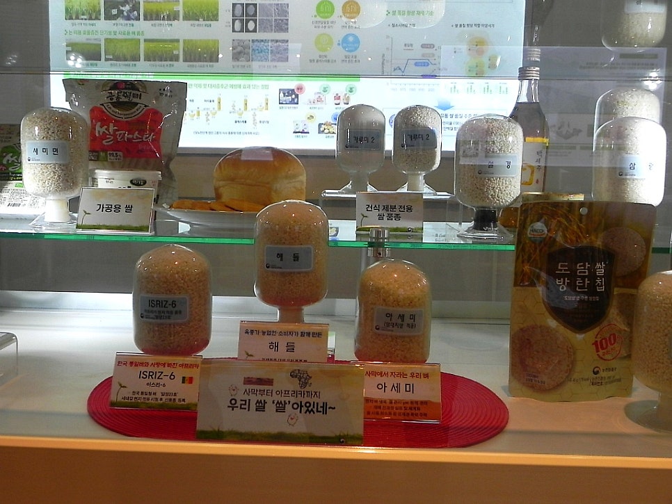 덕동제 사진 2