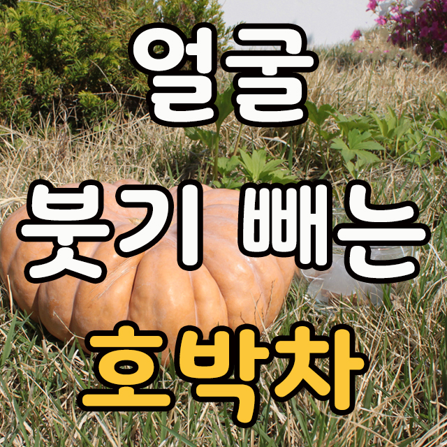  얼굴 붓기 빼는 차로는 호박효능이 최고!