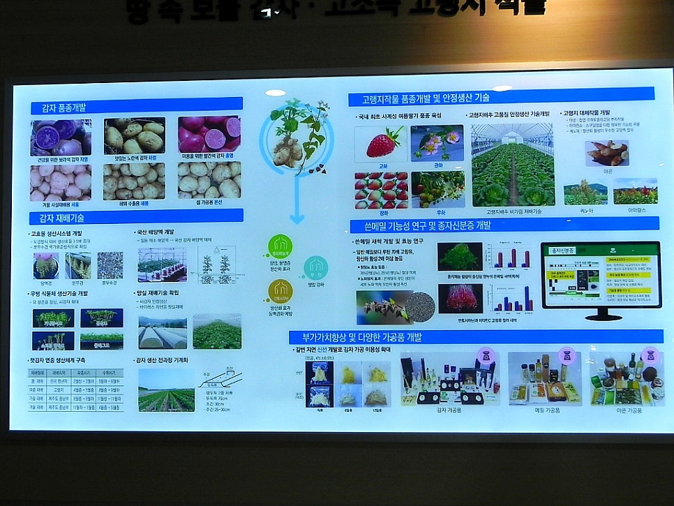 덕동제 사진 6