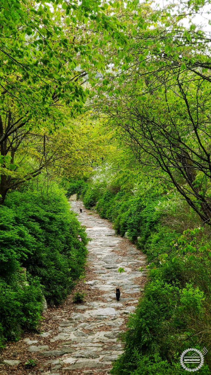 서울 서대문 걷기 좋은 안산 자락길