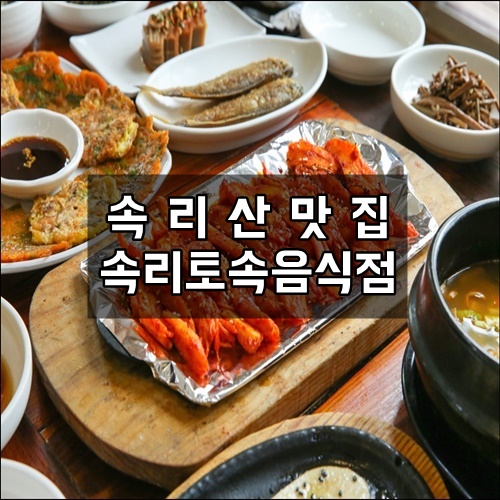 속리산 맛집 속리산산채정식 더덕구이가 끝내줬던 속리토속음식점