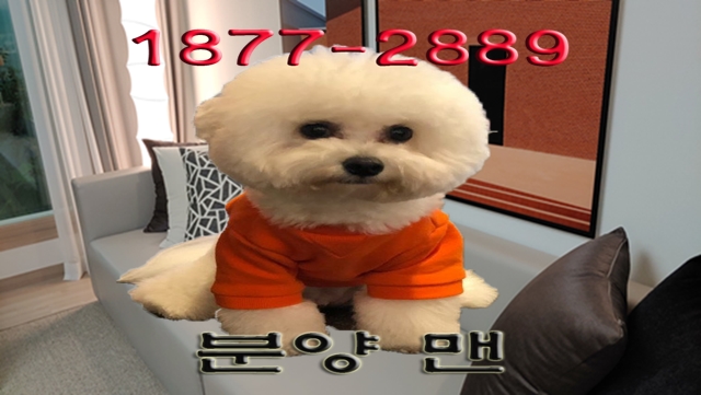 가야 비스타동원 탁월한 선택이 될 곳 가야 비스타동원 탁월한 선택이 될 곳