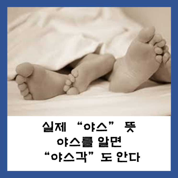  야스 뜻? 실제 야스나 야스각 뜻이 ㅅㅅ라고??
