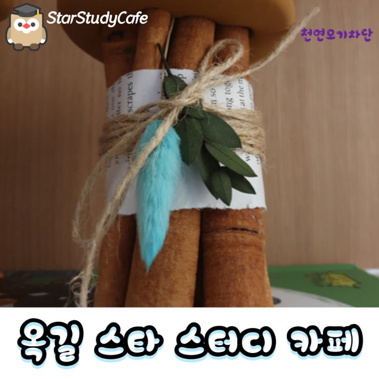  부천스터디카페 공부하는 분위기 공간만들기 천연모기퇴치