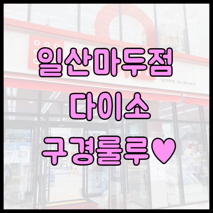  일산마두점 다이소에서 신나는 구경