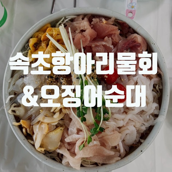  속초물회 맛집 속초항아리물회? 그리고 오징어순대 내돈내산솔직후기