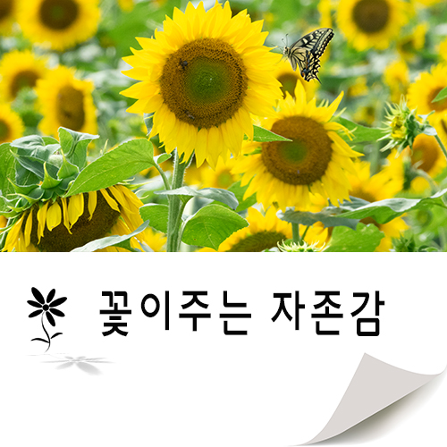  꽃의 자존감