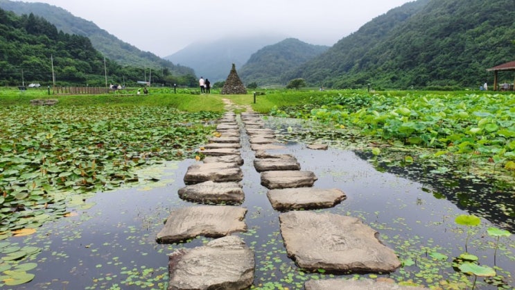  경남 고성 조용한 여행지_상리연꽃공원 산책