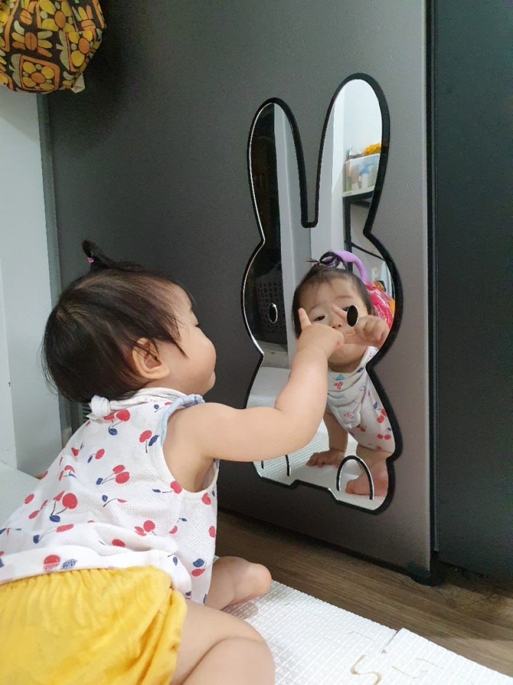  내풀로 안전거울 아크릴 아기거울 내돈내산 후기... 하...