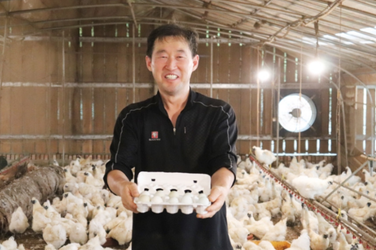  백봉오골계 가격, 이걸 기준으로 비교하세요