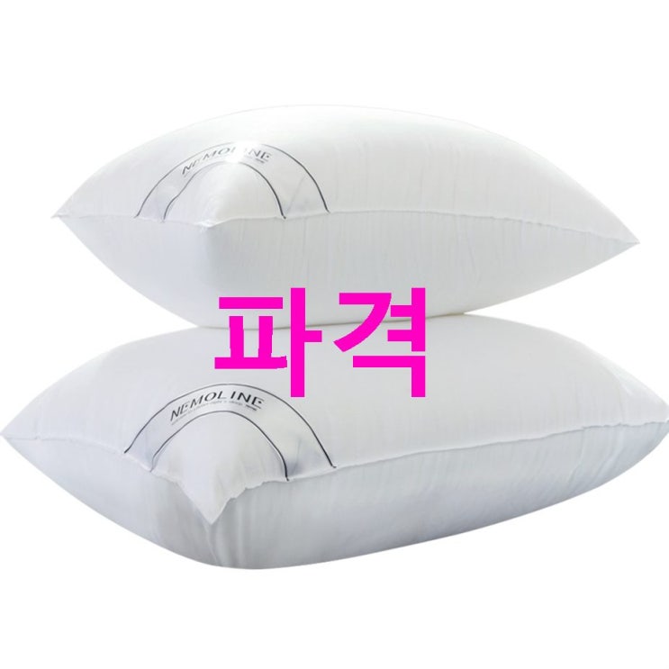 [특가제품] 네모라인 엠보극세사 다운필 베개솜 2p 2020-07-31일자 19,900 원 23% 할인