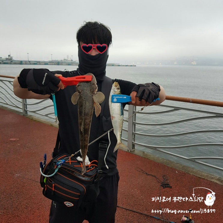 부산 영도 청어 루어 낚시