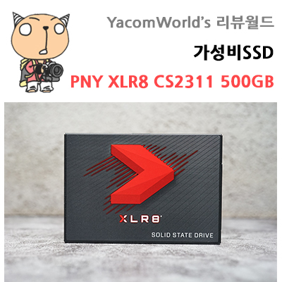 가성비 SSD 추천 PNY XLR8 CS2311 500GB 리뷰