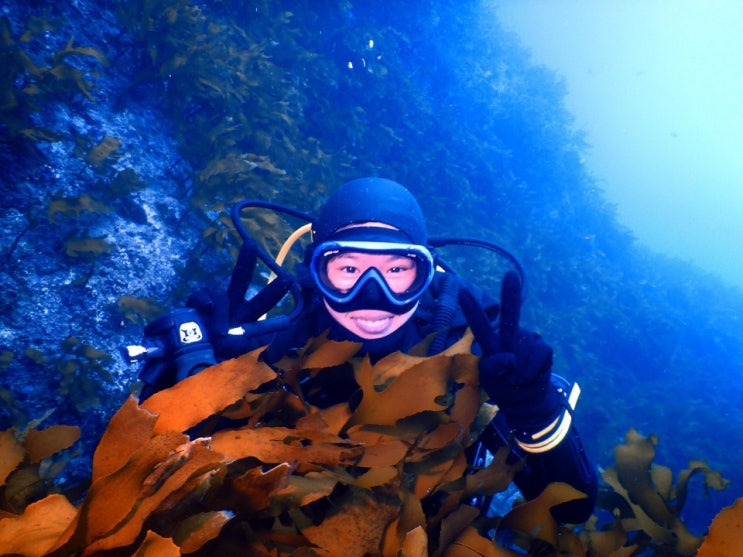 NAUI Scuba Diving 나우이 스쿠버다이빙 교육 - 호흡기 클리어링 & 찾기