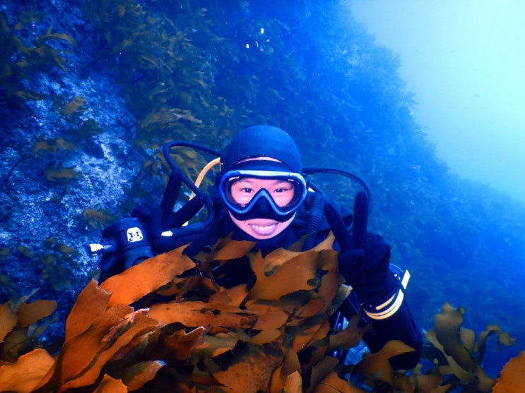  NAUI Scuba Diving 나우이 스쿠버다이빙 교육 - 호흡기 클리어링 & 찾기
