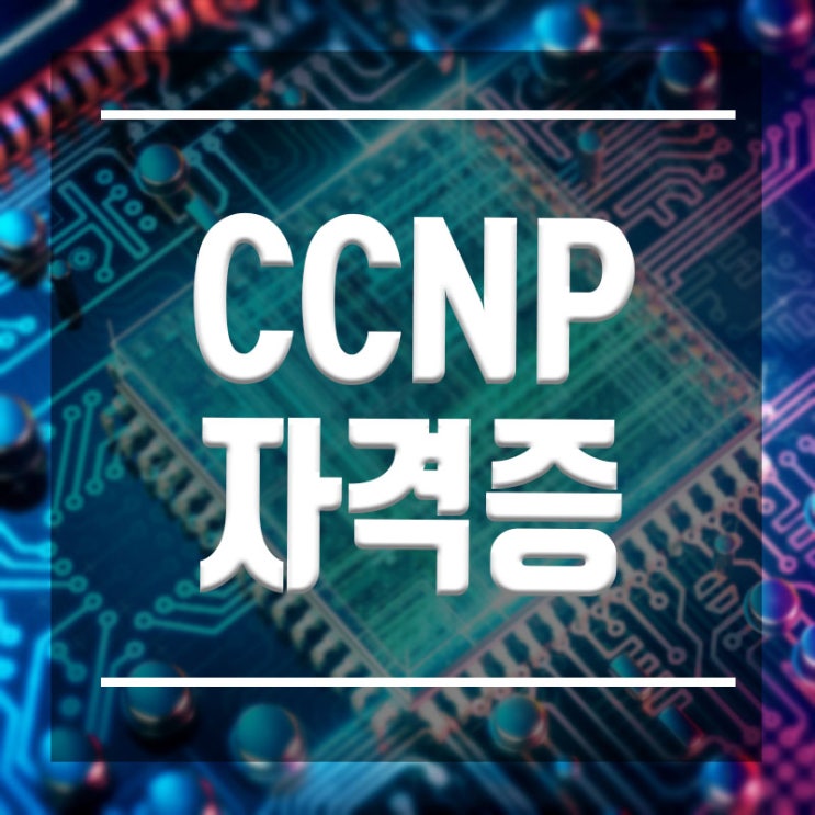  부산CCNP자격증 :: 전문 자격증 단기 취득방법