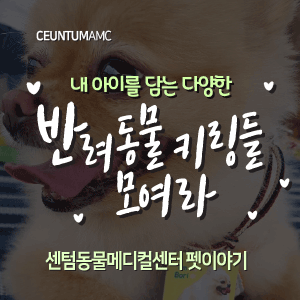  [동물뉴스]내 아이를 담는 다양한 반려동물 키링들 모여라