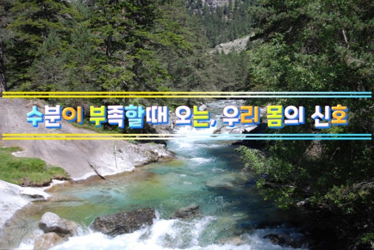 수분이 부족할때 오는, 우리 몸의 신호 수분이 부족할때 오는, 우리 몸의 신호