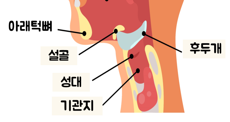 목이 아플 때 목을 가다듬을 때 좋은 것을 드세요. 1