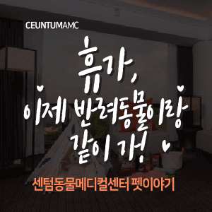  [동물뉴스]휴가, 이제 반려동물이랑 같이 가!