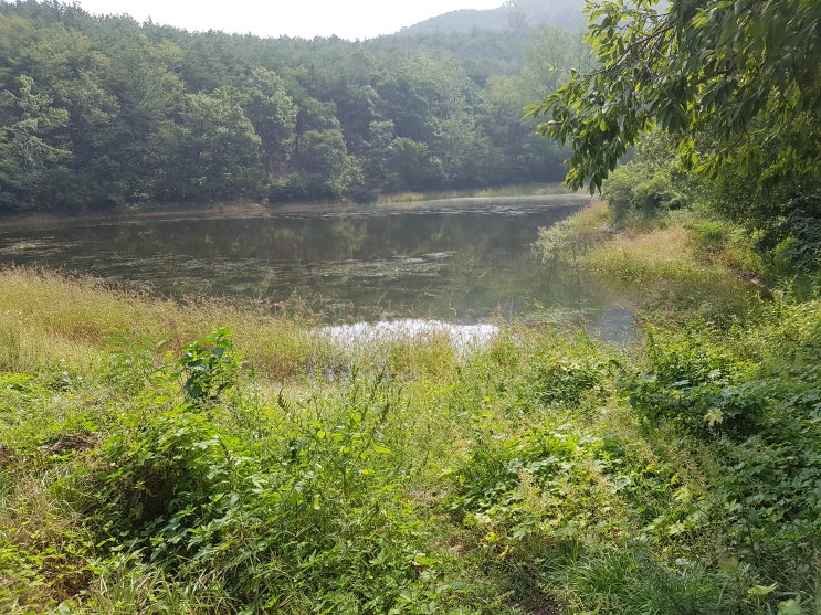  [대구,경산 배스낚시]옛추억
