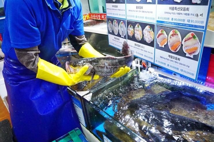  노량진 수산시장 맛집 회배달 가능한 전북어촌수산