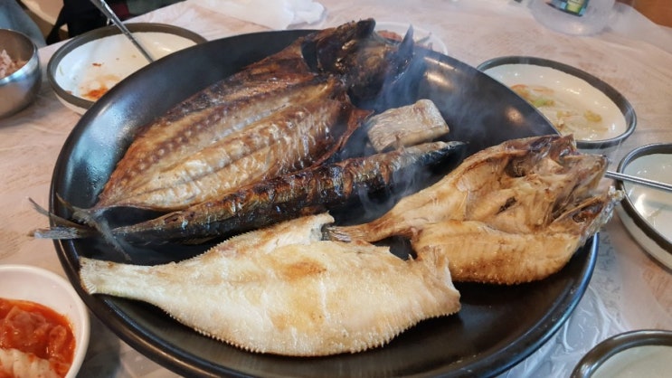  속초 가볼만한 생선구이집