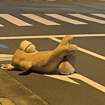 곰돌이가 너무 불쌍한데 집에 데려가도 돼?