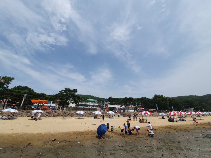 동막해변 당일치기 여름휴가 동막해변 당일치기 여름휴가
