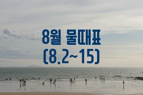  [태안] 안면도 휴가와서 조개체험 할 때 꼭 알아야하는 물때표(8.2~8.15)