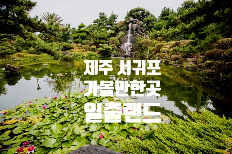 제주 서귀포 가볼만한곳 일출랜드 볼거리 많아요 제주 서귀포 가볼만한곳 일출랜드 볼거리 많아요