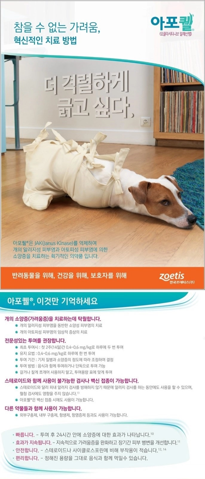 아포켈 - 개 아토피 피부염, 알레르기성 피부염