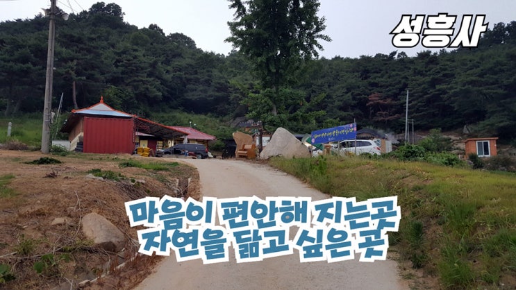  #군산점집 성흥사! 신점 소름 돋았어요