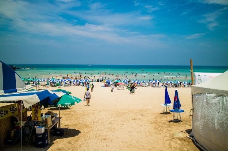제주 함덕해수욕장 서우봉해변 여름 풍경 제주 함덕해수욕장 서우봉해변 여름 풍경
