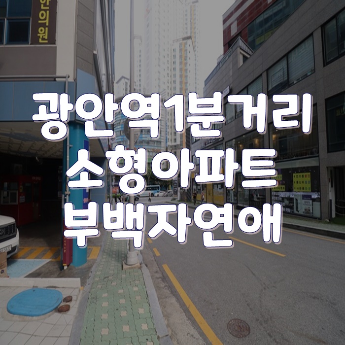  광안역소형아파트 부백자연애 지하철역이바로앞