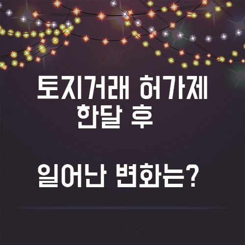  토지거래허가제 한달 후.. 일어난 변화는?