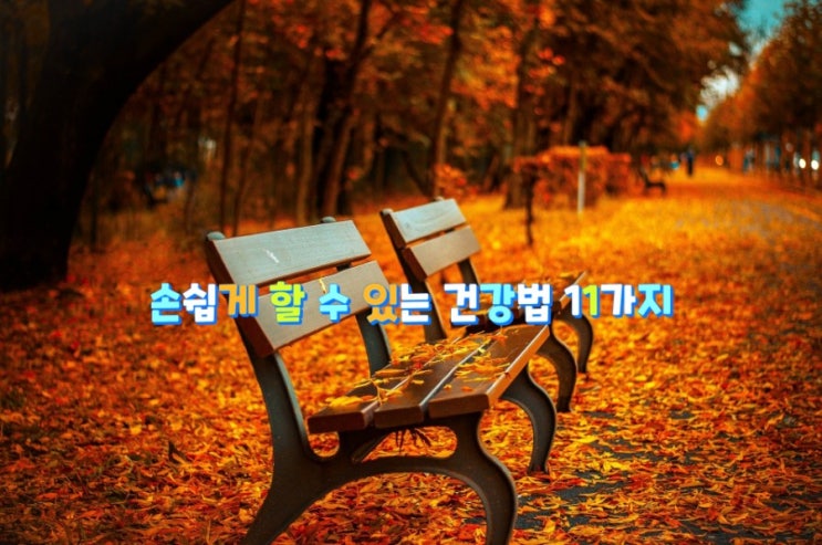 손쉽게 할 수 있는 건강법 11가지 손쉽게 할 수 있는 건강법 11가지