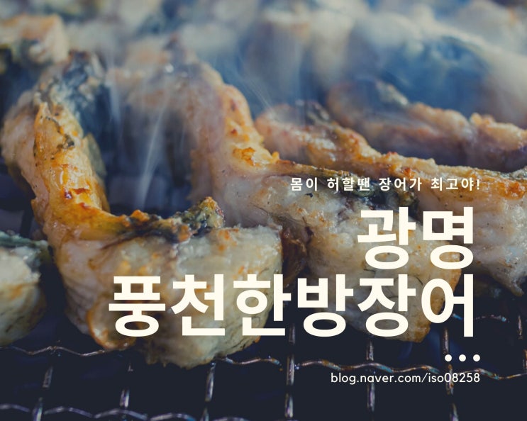  광명 장어맛집 밤일마을 풍천한방장어