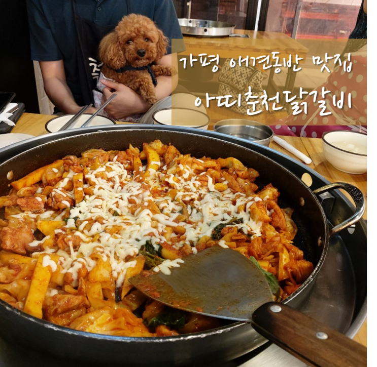  가평 남이섬 애견동반 식당 / 아띠춘천닭갈비 : 자라섬 근처 닭갈비 맛집
