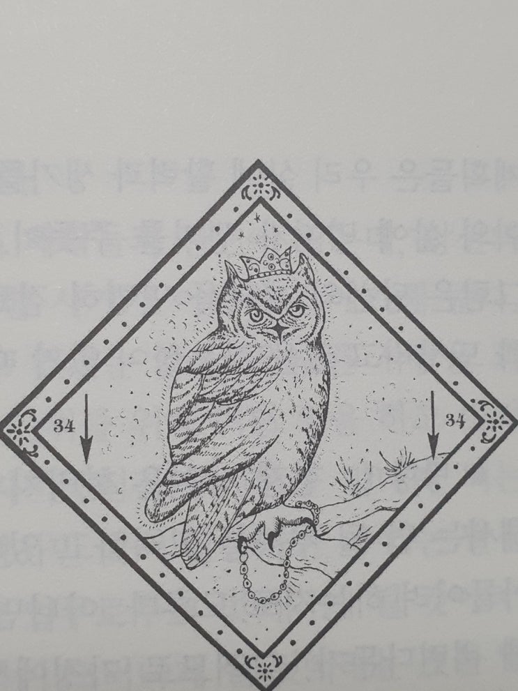  34. 부엉이(OWL)