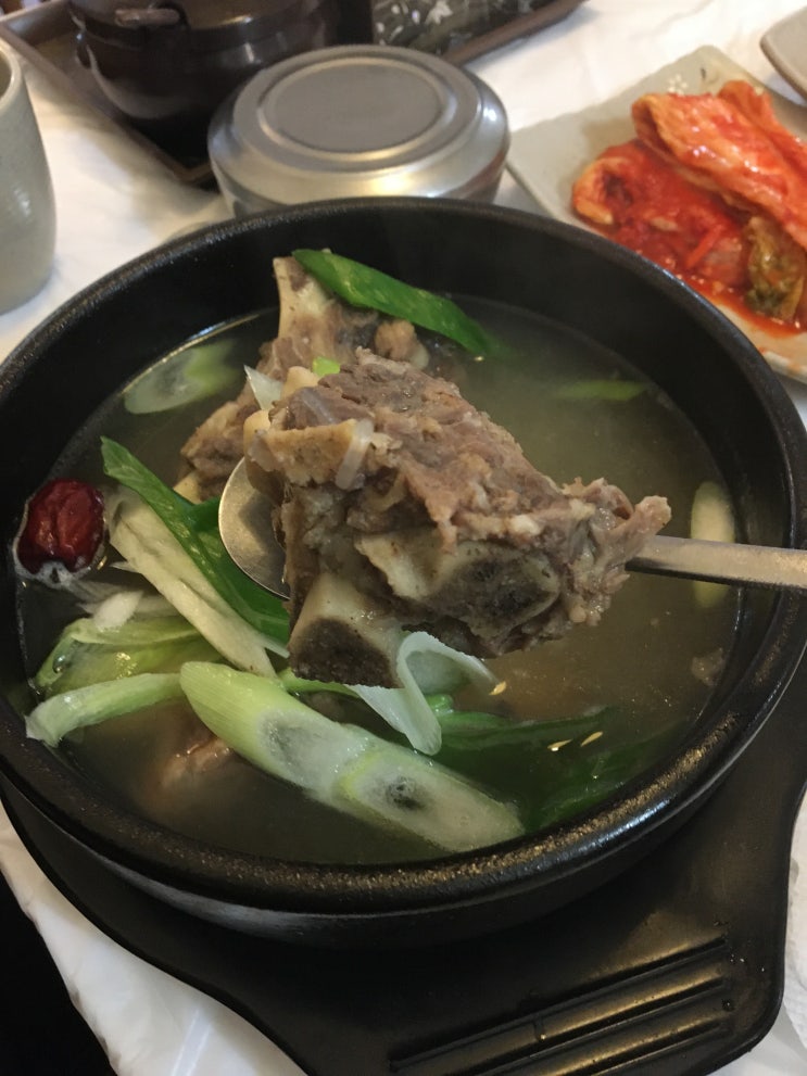  [게스트하우스/류] 양양 한우설렁탕 맛집:) 향미