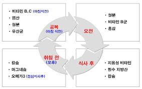  영양제 섭취시간 요령 주의해야할 점 : 공복 식후 저녁