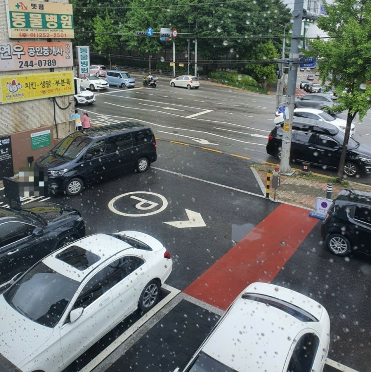  스타벅스 여름신메뉴: 블론드 서머 라떼, 스위트멜론 블렌디드 (수원연무 dt 매장)