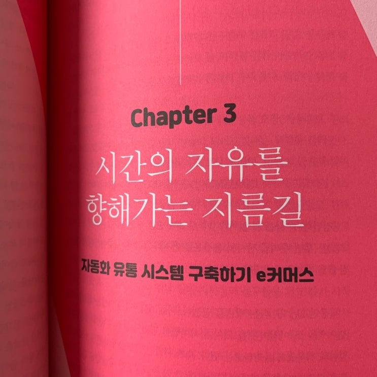  나는 디지털노마드맘으로 살기로 했다_책리뷰