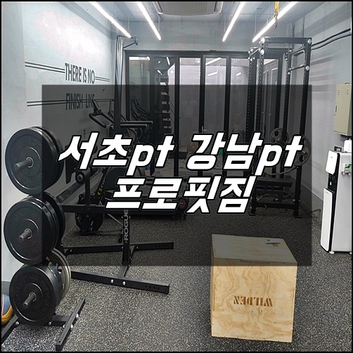 서초pt 강남pt 전문적인 pt가 가능한 프로핏짐 소개합니다 서초pt 강남pt 전문적인 pt가 가능한 프로핏짐 소개합니다