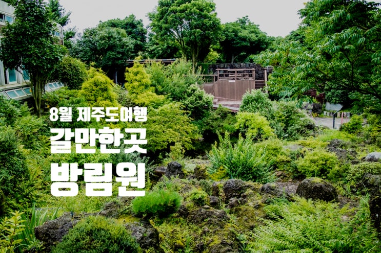 8월 제주도여행 갈만한곳 제주도 자연 미니어처 버전 방림원 8월 제주도여행 갈만한곳 제주도 자연 미니어처 버전 방림원