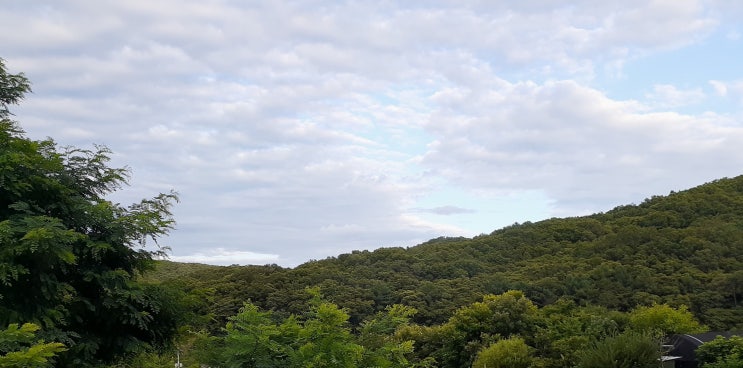  열심히 해도 잘 안된다구요? 수학잘하는 법 3가지, 알려드려요.